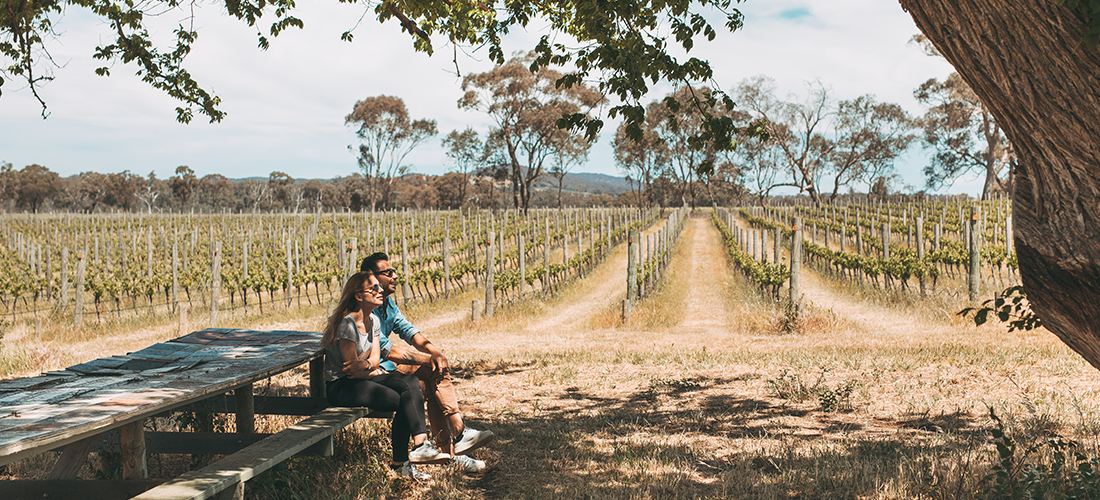 Couple in the Wren vineyard